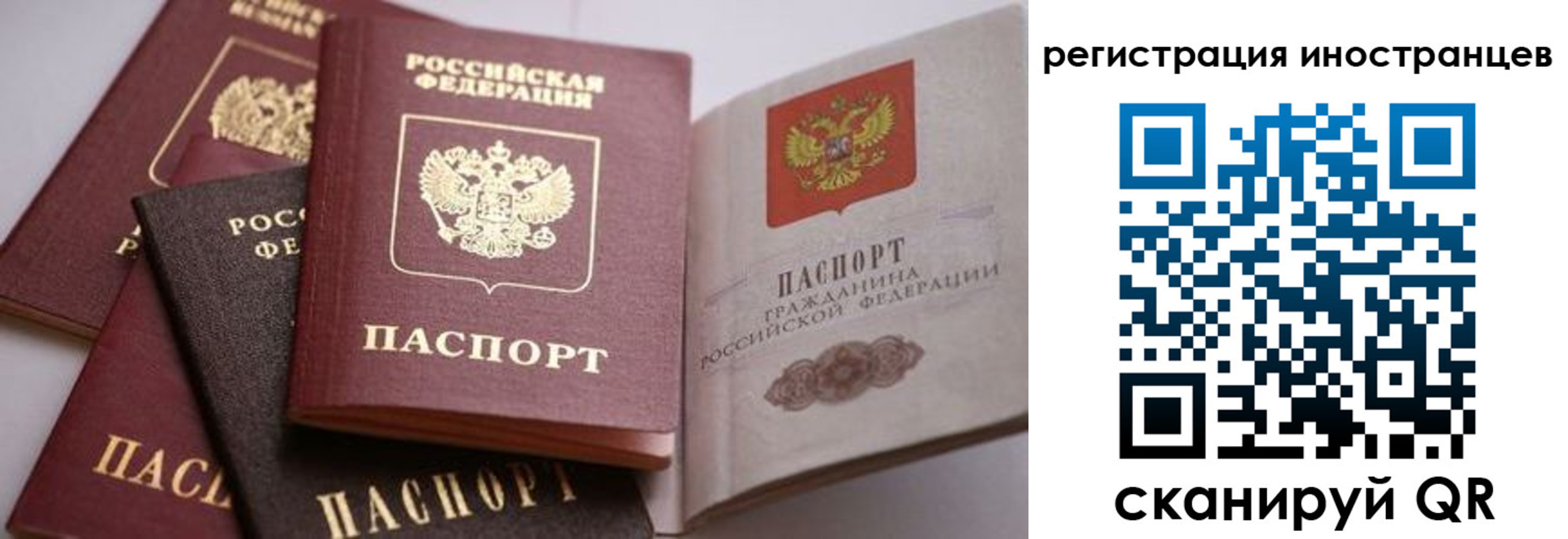прописка штамп в Цимлянске
